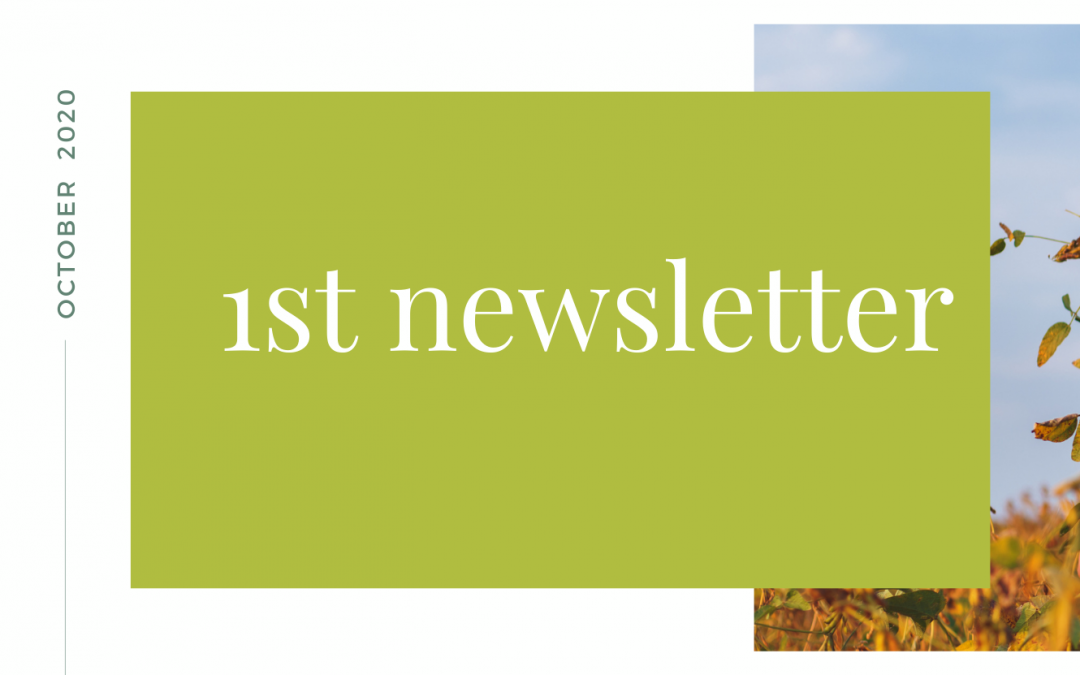 Our first newsletter is out!
