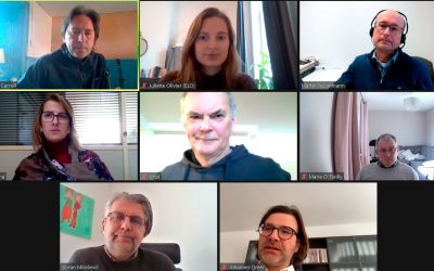Third project meeting. Online, 14-15th of January 2021